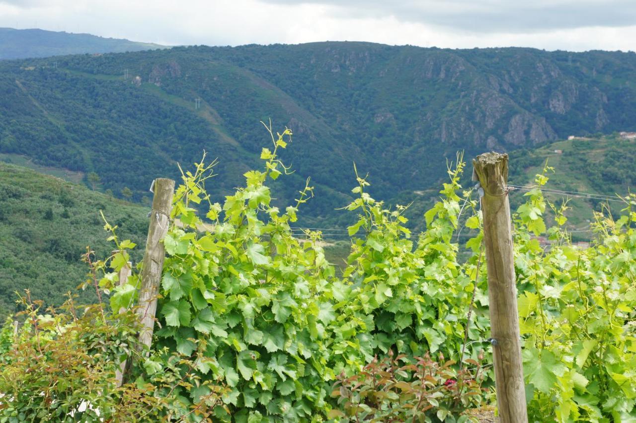 Appartement O Muino Casa Ferrador Ribeira Sacra à Barantes Extérieur photo